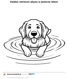 Golden retriever pływa w jeziorze latem — kolorowanka do wydruku dla dzieci