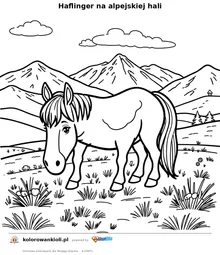 Haflinger na alpejskiej hali — kolorowanka do wydruku dla dzieci