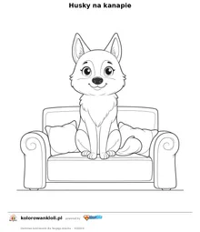 Husky na kanapie — kolorowanka do wydruku dla dzieci
