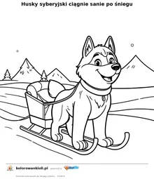 Husky syberyjski ciągnie sanie po śniegu — kolorowanka do wydruku dla dzieci