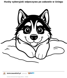 Husky syberyjski odpoczywa po zabawie w śniegu — kolorowanka do wydruku dla dzieci