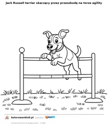 Jack Russell terrier skaczący przez przeszkodę na torze agility — kolorowanka do wydruku dla dzieci
