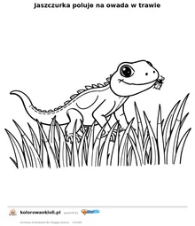 Jaszczurka poluje na owada w trawie — kolorowanka do wydruku dla dzieci