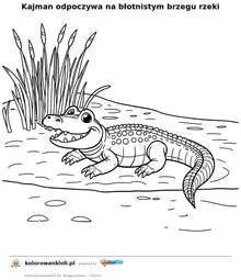 Kajman odpoczywa na błotnistym brzegu rzeki — kolorowanka do wydruku dla dzieci