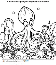 Kałamarnica polująca w głębinach oceanu — kolorowanka do wydruku dla dzieci