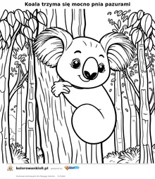 Koala trzyma się mocno pnia pazurami — kolorowanka do wydruku dla dzieci