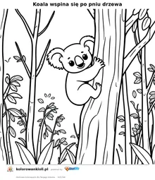 Koala wspina się po pniu drzewa — kolorowanka do wydruku dla dzieci