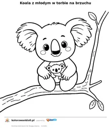 Koala z młodym w torbie na brzuchu — kolorowanka do wydruku dla dzieci