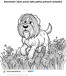 Komondor idzie przez łąkę pełną polnych kwiatów — kolorowanka do wydruku dla dzieci