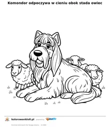 Komondor odpoczywa w cieniu obok stada owiec — kolorowanka do wydruku dla dzieci