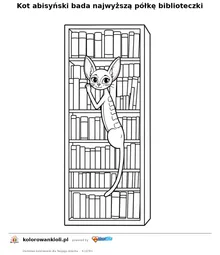 Kot abisyński bada najwyższą półkę biblioteczki — kolorowanka do wydruku dla dzieci