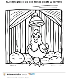 Kurczak grzeje się pod lampą ciepła w kurniku — kolorowanka do wydruku dla dzieci