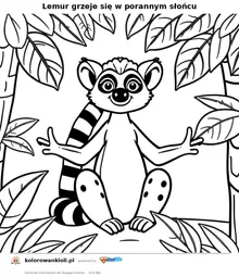 Lemur grzeje się w porannym słońcu — kolorowanka do wydruku dla dzieci