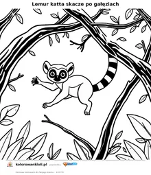 Lemur katta skacze po gałęziach — kolorowanka do wydruku dla dzieci