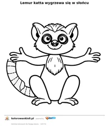 Lemur katta wygrzewa się w słońcu — kolorowanka do wydruku dla dzieci