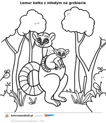 Lemur katta z młodym na grzbiecie — kolorowanka do wydruku dla dzieci