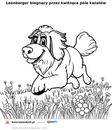 Leonberger biegnący przez kwitnące pole kwiatów — kolorowanka do wydruku dla dzieci