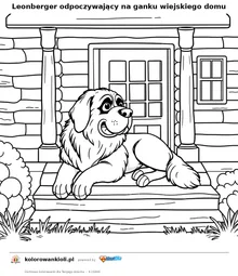 Leonberger odpoczywający na ganku wiejskiego domu — kolorowanka do wydruku dla dzieci