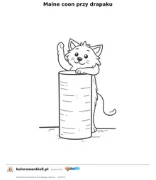 Maine coon przy drapaku — kolorowanka do wydruku dla dzieci