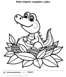 Mały aligator wygląda z jajka — kolorowanka do wydruku dla dzieci