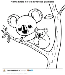 Mama koala niesie młode na grzbiecie — kolorowanka do wydruku dla dzieci
