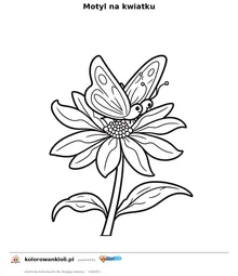 Motyl na kwiatku — kolorowanka do wydruku dla dzieci