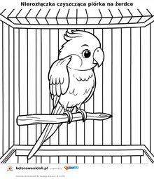 Nierozłączka czyszcząca piórka na żerdce — kolorowanka do wydruku dla dzieci