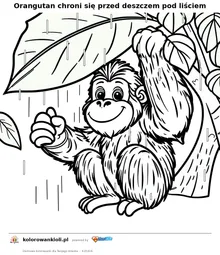 Orangutan chroni się przed deszczem pod liściem — kolorowanka do wydruku dla dzieci