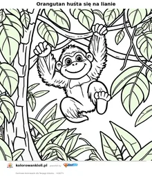 Orangutan huśta się na lianie — kolorowanka do wydruku dla dzieci