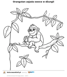 Orangutan zajada owoce w dżungli — kolorowanka do wydruku dla dzieci