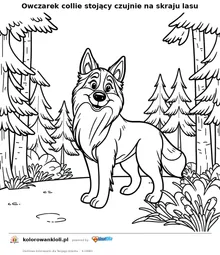Owczarek collie stojący czujnie na skraju lasu — kolorowanka do wydruku dla dzieci