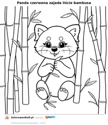 Panda czerwona zajada liście bambusa — kolorowanka do wydruku dla dzieci