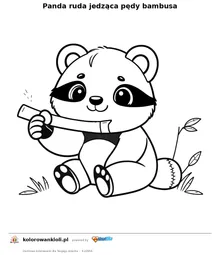 Panda ruda jedząca pędy bambusa — kolorowanka do wydruku dla dzieci