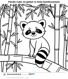 Panda ruda na gałęzi w lesie bambusowym — kolorowanka do wydruku dla dzieci