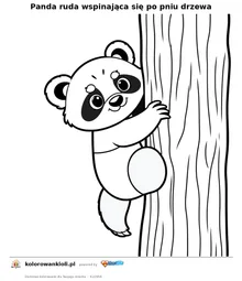 Panda ruda wspinająca się po pniu drzewa — kolorowanka do wydruku dla dzieci