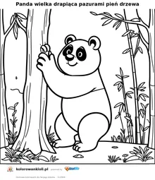Panda wielka drapiąca pazurami pień drzewa — kolorowanka do wydruku dla dzieci