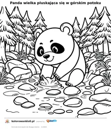 Panda wielka pluskająca się w górskim potoku — kolorowanka do wydruku dla dzieci