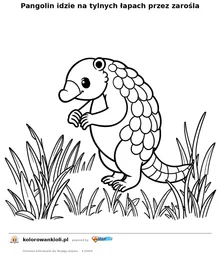 Pangolin idzie na tylnych łapach przez zarośla — kolorowanka do wydruku dla dzieci