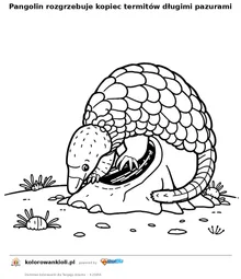 Pangolin rozgrzebuje kopiec termitów długimi pazurami — kolorowanka do wydruku dla dzieci