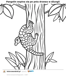 Pangolin wspina się po pniu drzewa w dżungli — kolorowanka do wydruku dla dzieci