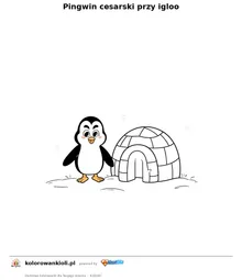 Pingwin cesarski przy igloo — kolorowanka do wydruku dla dzieci