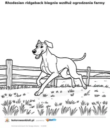 Rhodesian ridgeback biegnie wzdłuż ogrodzenia farmy — kolorowanka do wydruku dla dzieci