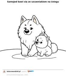 Samojed bawi się ze szczeniakiem na śniegu — kolorowanka do wydruku dla dzieci