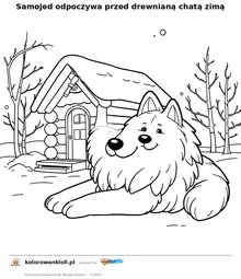 Samojed odpoczywa przed drewnianą chatą zimą — kolorowanka do wydruku dla dzieci