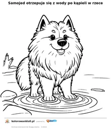Samojed otrzepuje się z wody po kąpieli w rzece — kolorowanka do wydruku dla dzieci
