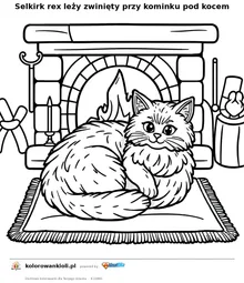 Selkirk rex leży zwinięty przy kominku pod kocem — kolorowanka do wydruku dla dzieci