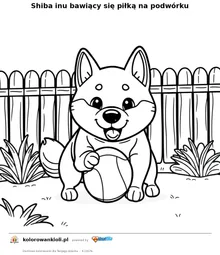 Shiba inu bawiący się piłką na podwórku — kolorowanka do wydruku dla dzieci