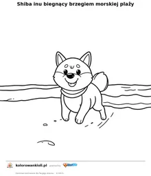 Shiba inu biegnący brzegiem morskiej plaży — kolorowanka do wydruku dla dzieci