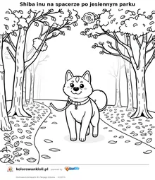 Shiba inu na spacerze po jesiennym parku — kolorowanka do wydruku dla dzieci