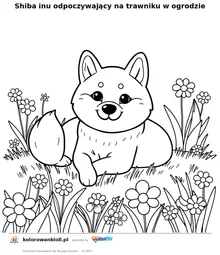Shiba inu odpoczywający na trawniku w ogrodzie — kolorowanka do wydruku dla dzieci